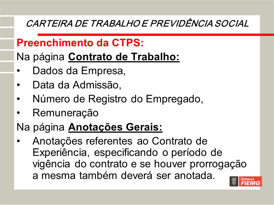 CARTEIRA DE TRABALHO E PREVIDÊNCIA SOCIAL