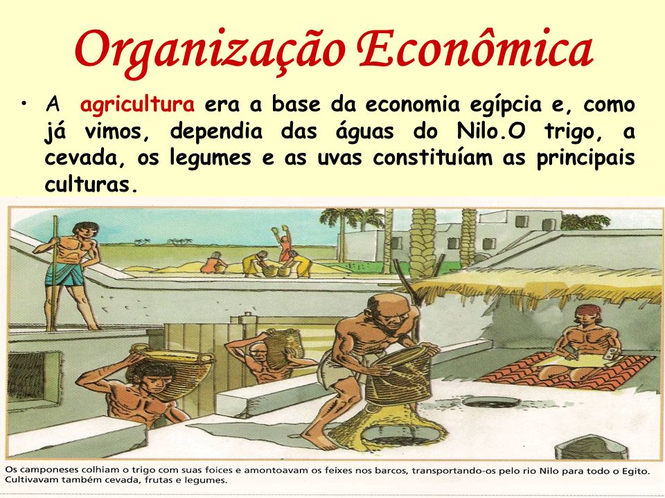 Organização Econômica