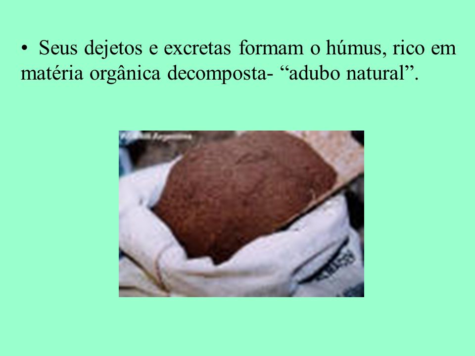 Seus dejetos e excretas formam o húmus, rico em matéria orgânica decomposta- adubo natural .