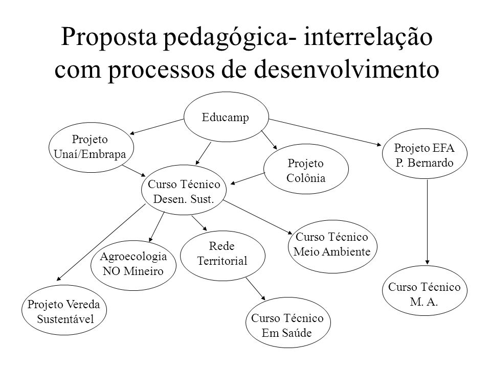 Proposta pedagógica- interrelação com processos de desenvolvimento