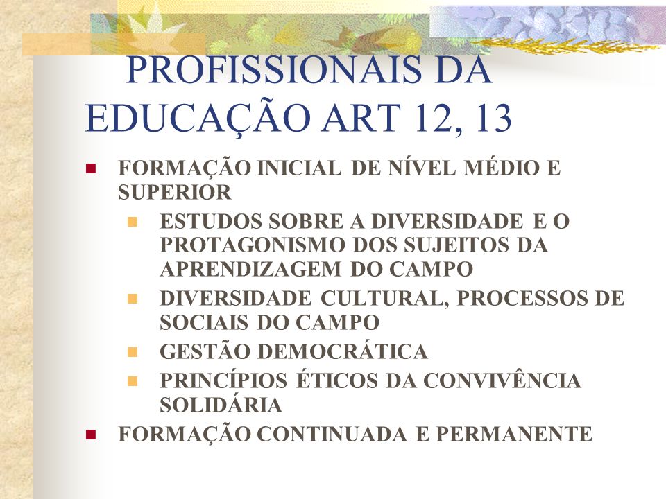 PROFISSIONAIS DA EDUCAÇÃO ART 12, 13