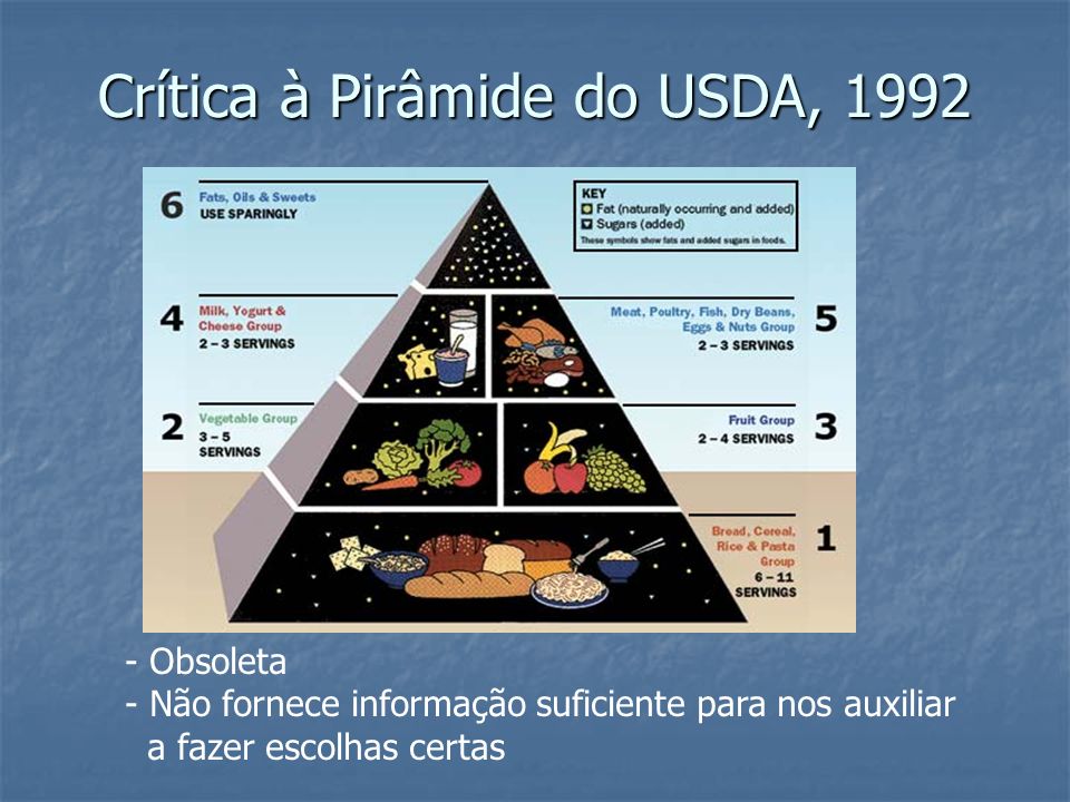 Crítica à Pirâmide do USDA, 1992