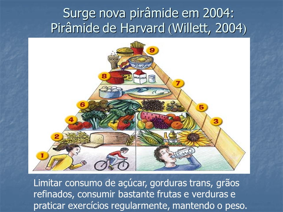 Surge nova pirâmide em 2004: Pirâmide de Harvard Willett, 2004