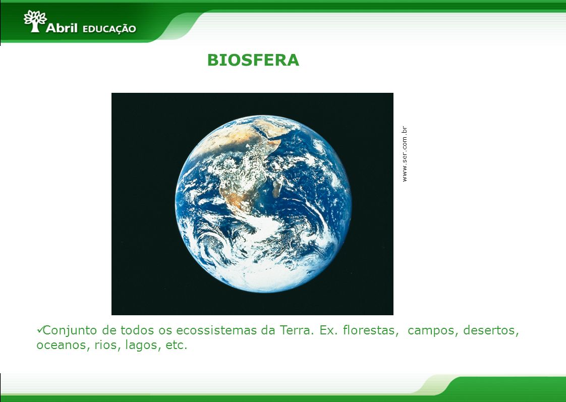BIOSFERA   Conjunto de todos os ecossistemas da Terra.