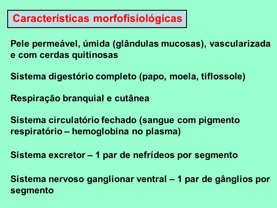 Características morfofisiológicas