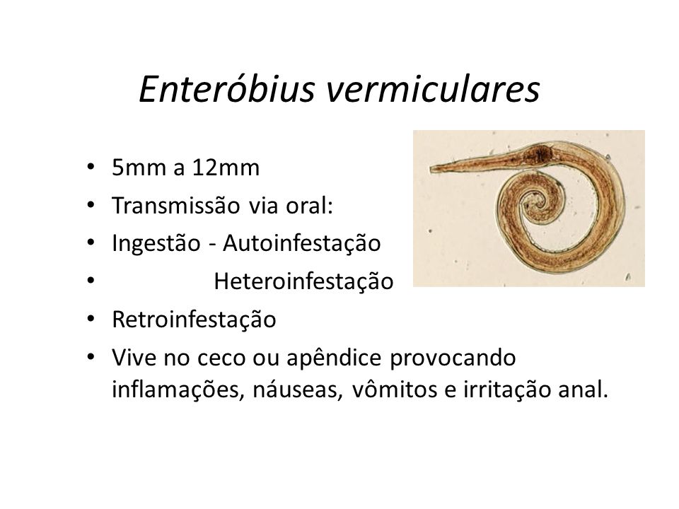 Enteróbius vermiculares