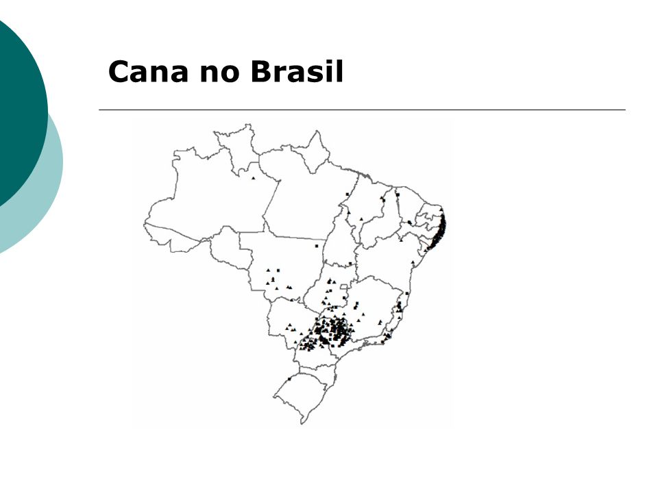 Cana no Brasil