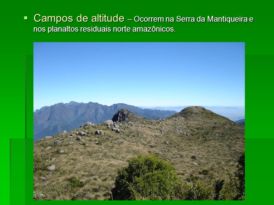 Campos de altitude – Ocorrem na Serra da Mantiqueira e nos planaltos residuais norte amazônicos.