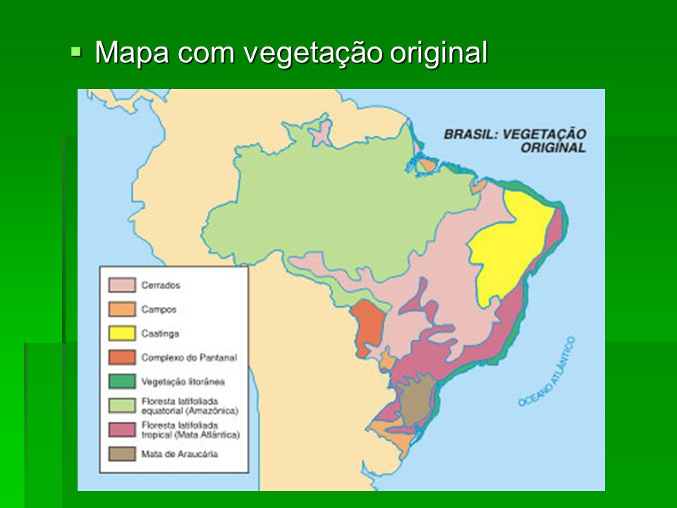 Mapa com vegetação original