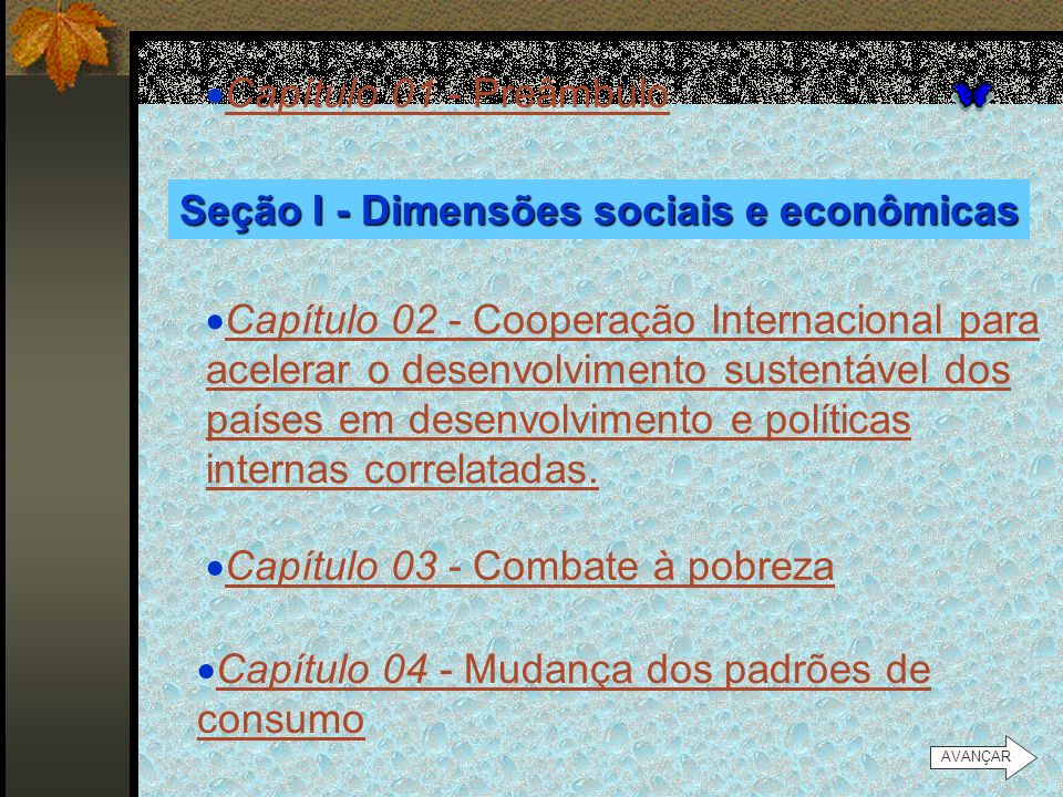 Seção I - Dimensões sociais e econômicas