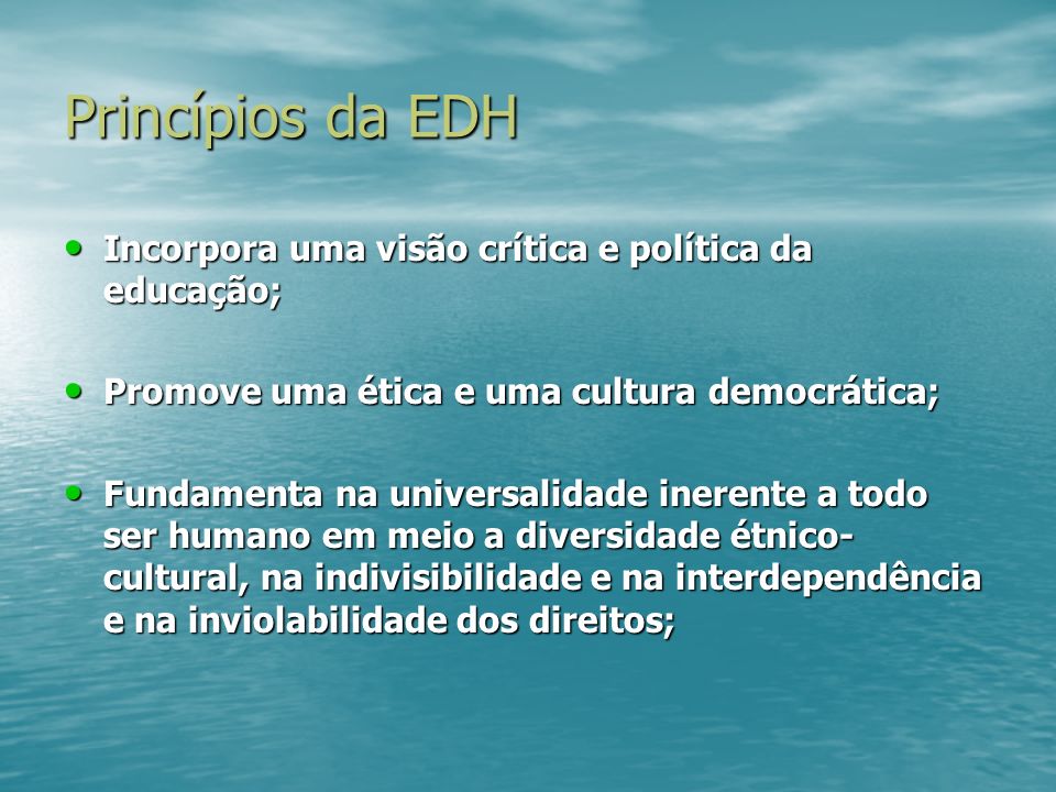 Princípios da EDH Incorpora uma visão crítica e política da educação;