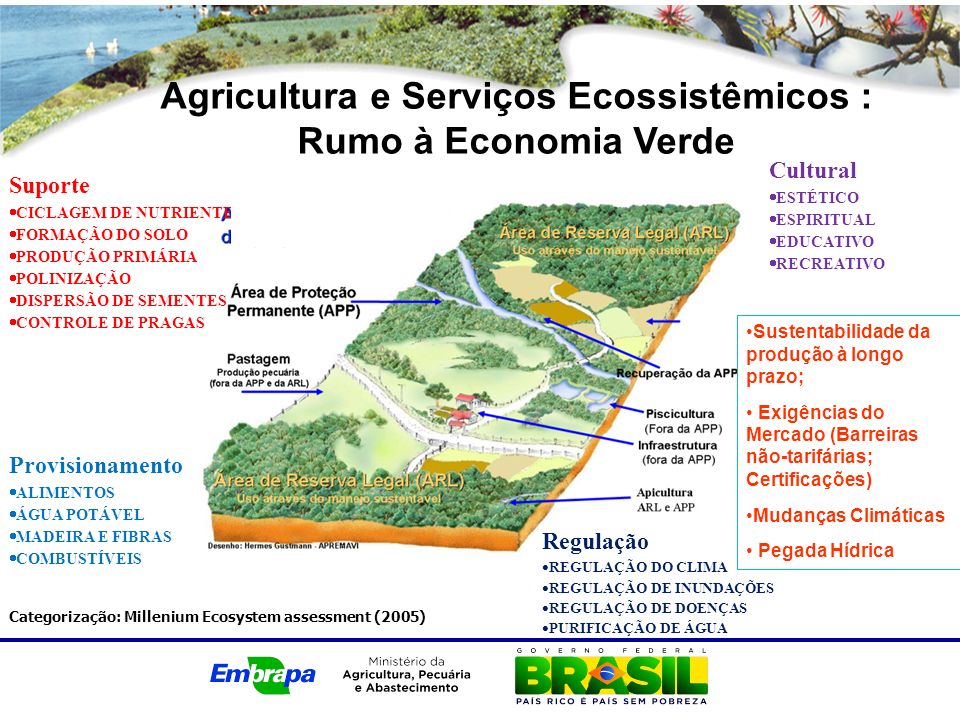 Agricultura e Serviços Ecossistêmicos : Rumo à Economia Verde