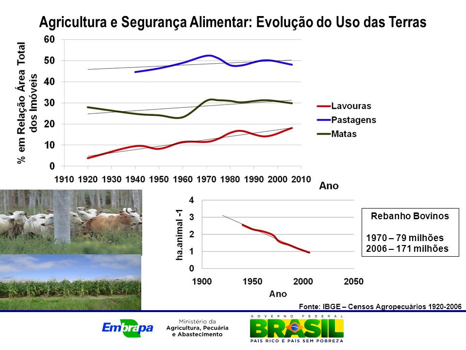 Agricultura e Segurança Alimentar: Evolução do Uso das Terras