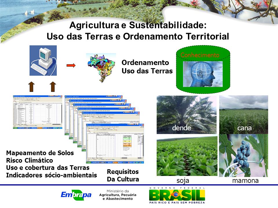 Agricultura e Sustentabilidade: