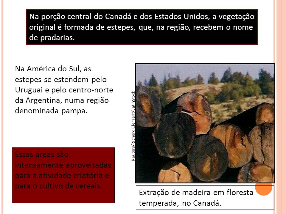 Extração de madeira em floresta temperada, no Canadá.