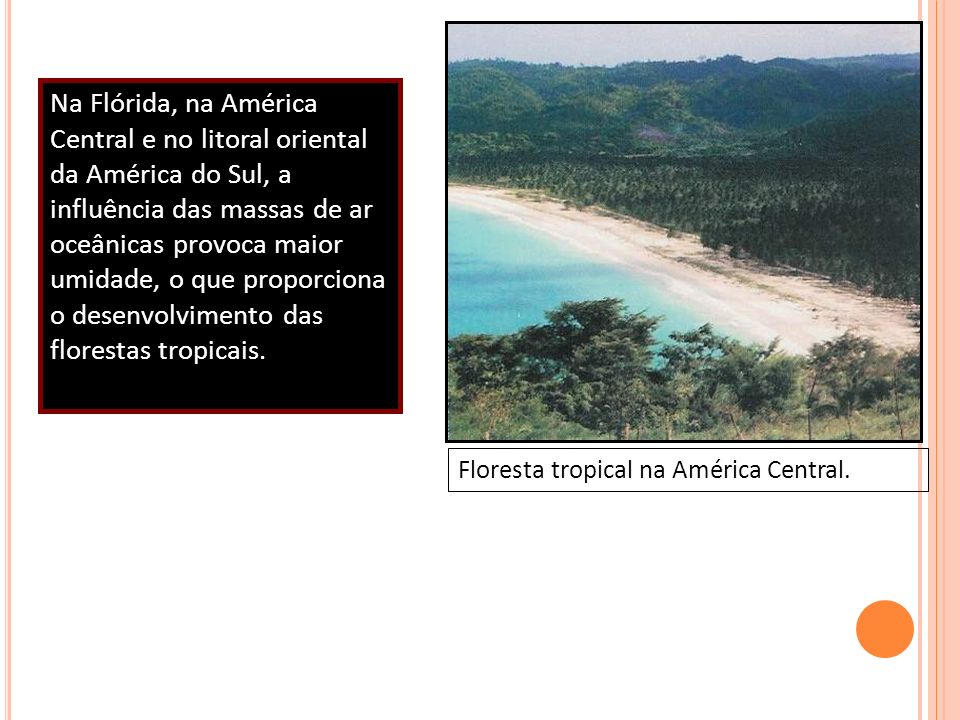 Na Flórida, na América Central e no litoral oriental da América do Sul, a influência das massas de ar oceânicas provoca maior umidade, o que proporciona o desenvolvimento das florestas tropicais.