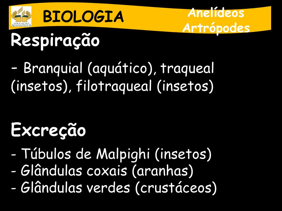 Branquial (aquático), traqueal (insetos), filotraqueal (insetos)