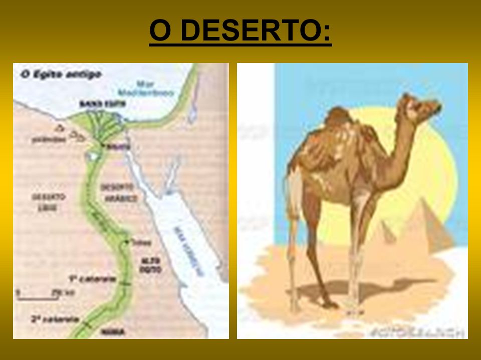 O DESERTO: