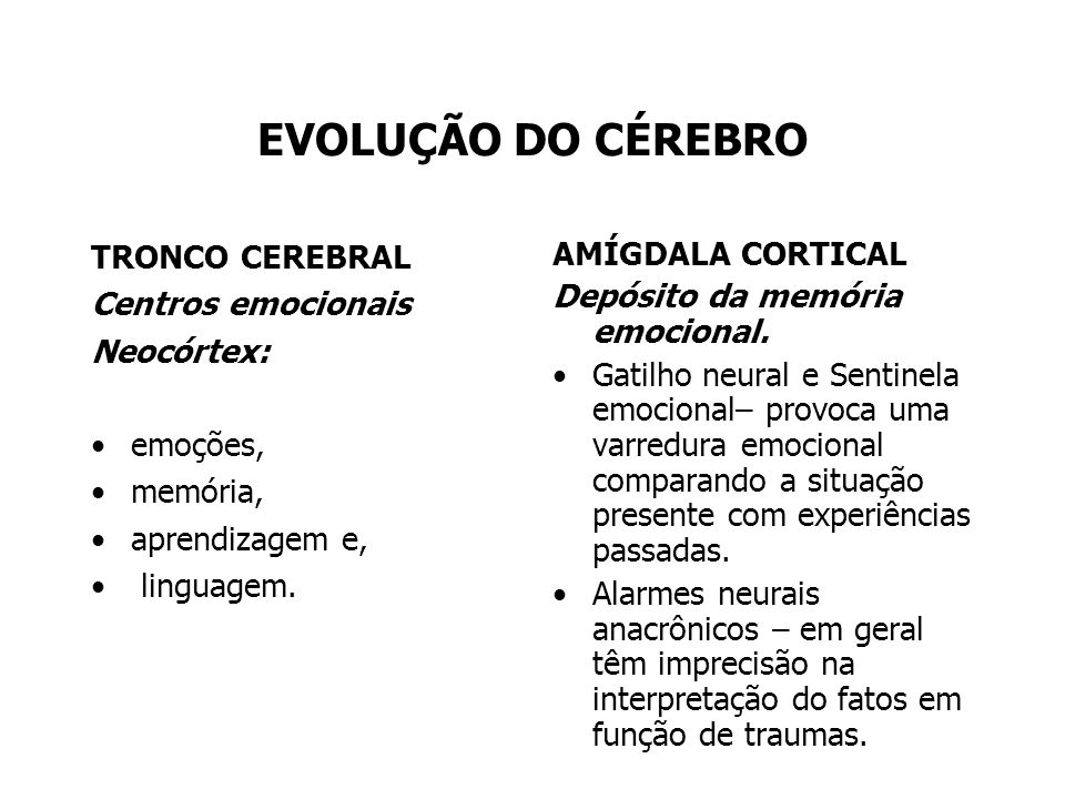 EVOLUÇÃO DO CÉREBRO TRONCO CEREBRAL Centros emocionais Neocórtex: