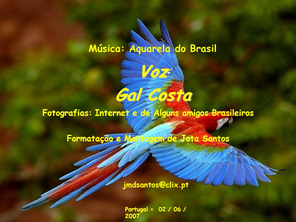 Voz Gal Costa Música: Aquarela do Brasil