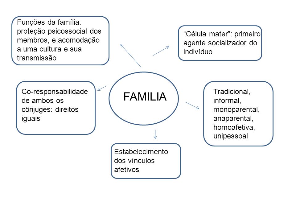 Funções da família: proteção psicossocial dos membros, e acomodação a uma cultura e sua transmissão