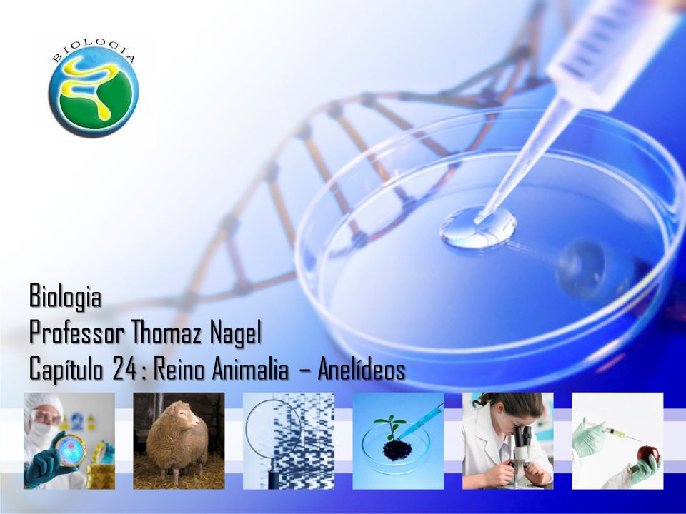 Biologia Professor Thomaz Nagel Capítulo 24 : Reino Animalia – Anelídeos