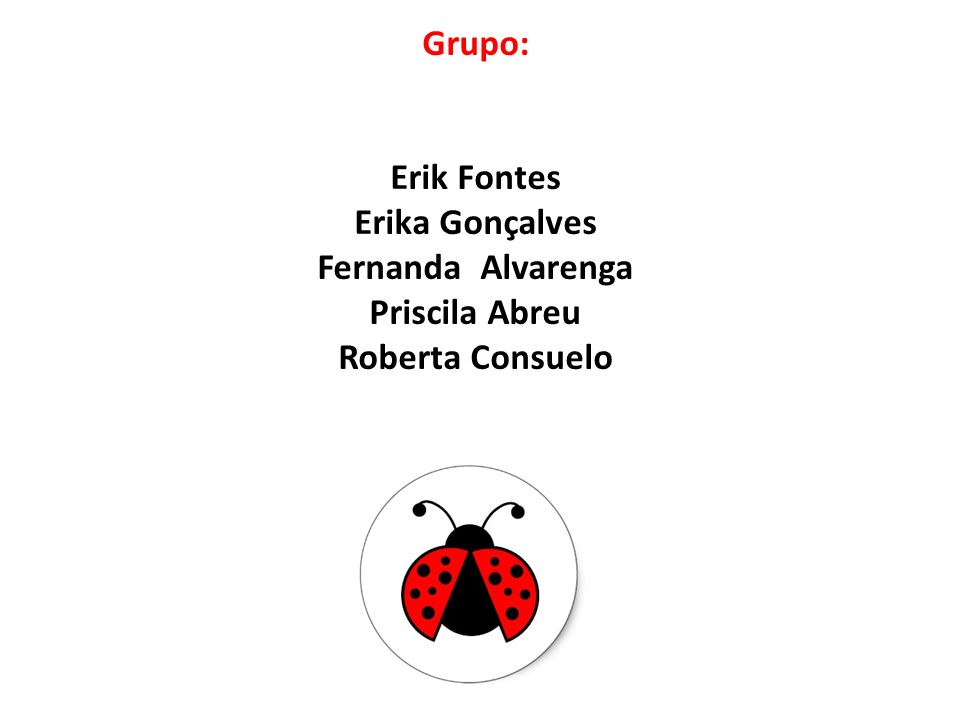Grupo: Erik Fontes Erika Gonçalves Fernanda Alvarenga Priscila Abreu Roberta Consuelo