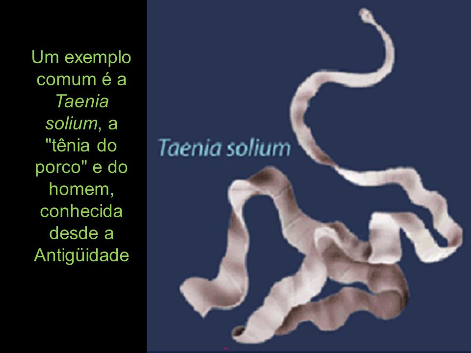 Um exemplo comum é a Taenia solium, a tênia do porco e do homem, conhecida desde a Antigüidade