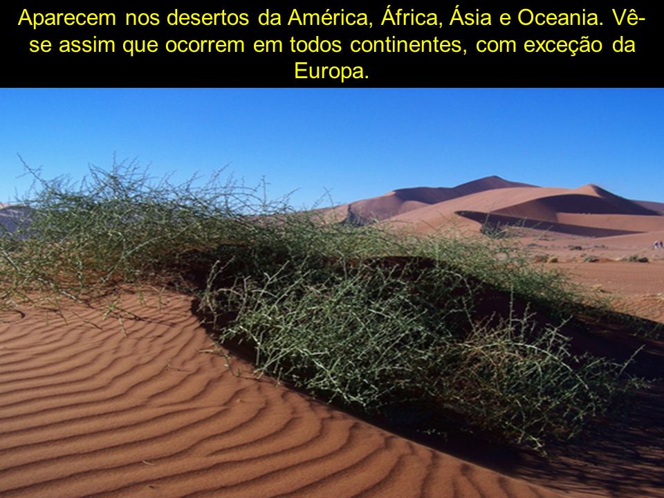 Aparecem nos desertos da América, África, Ásia e Oceania