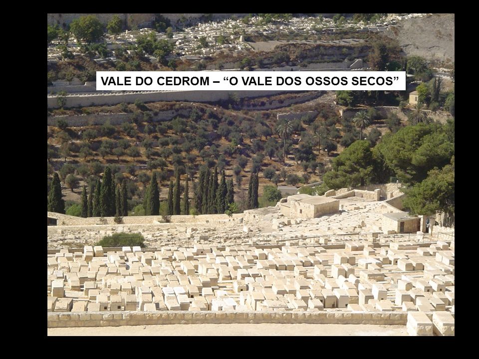 VALE DO CEDROM – O VALE DOS OSSOS SECOS
