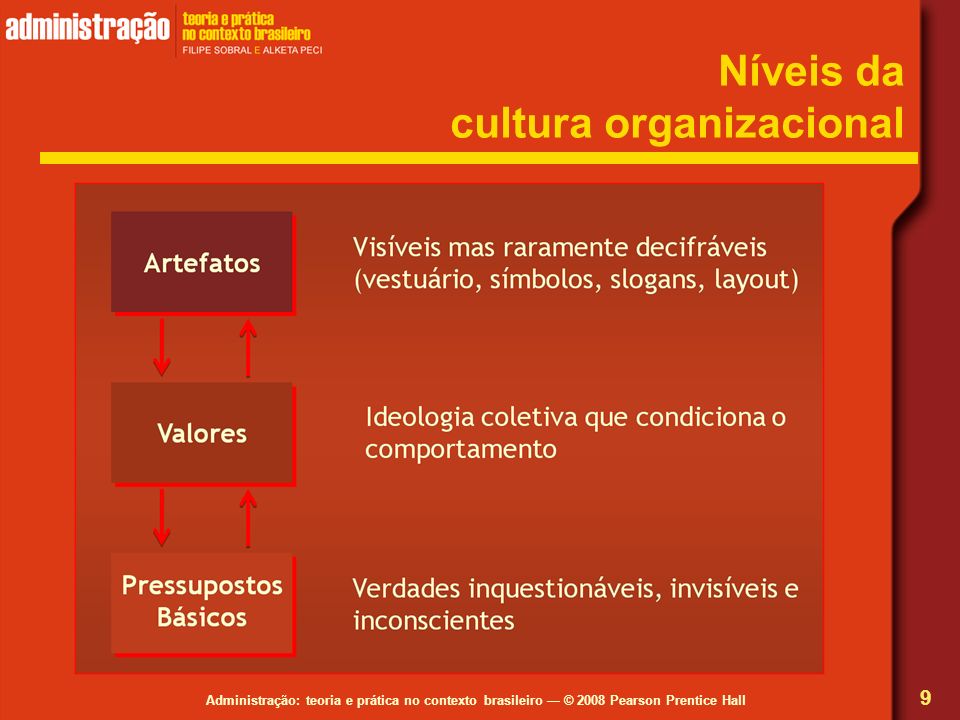 Níveis da cultura organizacional