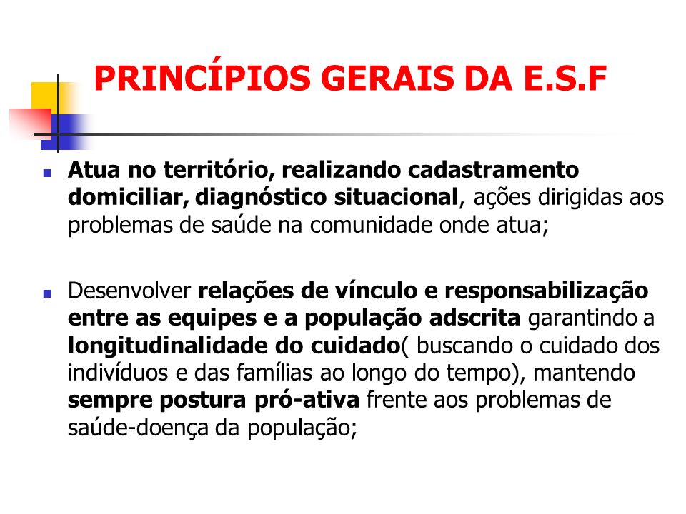 PRINCÍPIOS GERAIS DA E.S.F