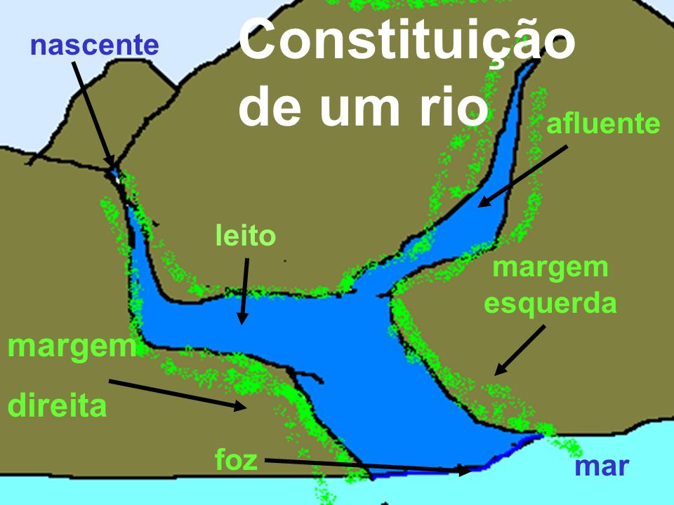Constituição de um rio margem direita nascente afluente leito margem