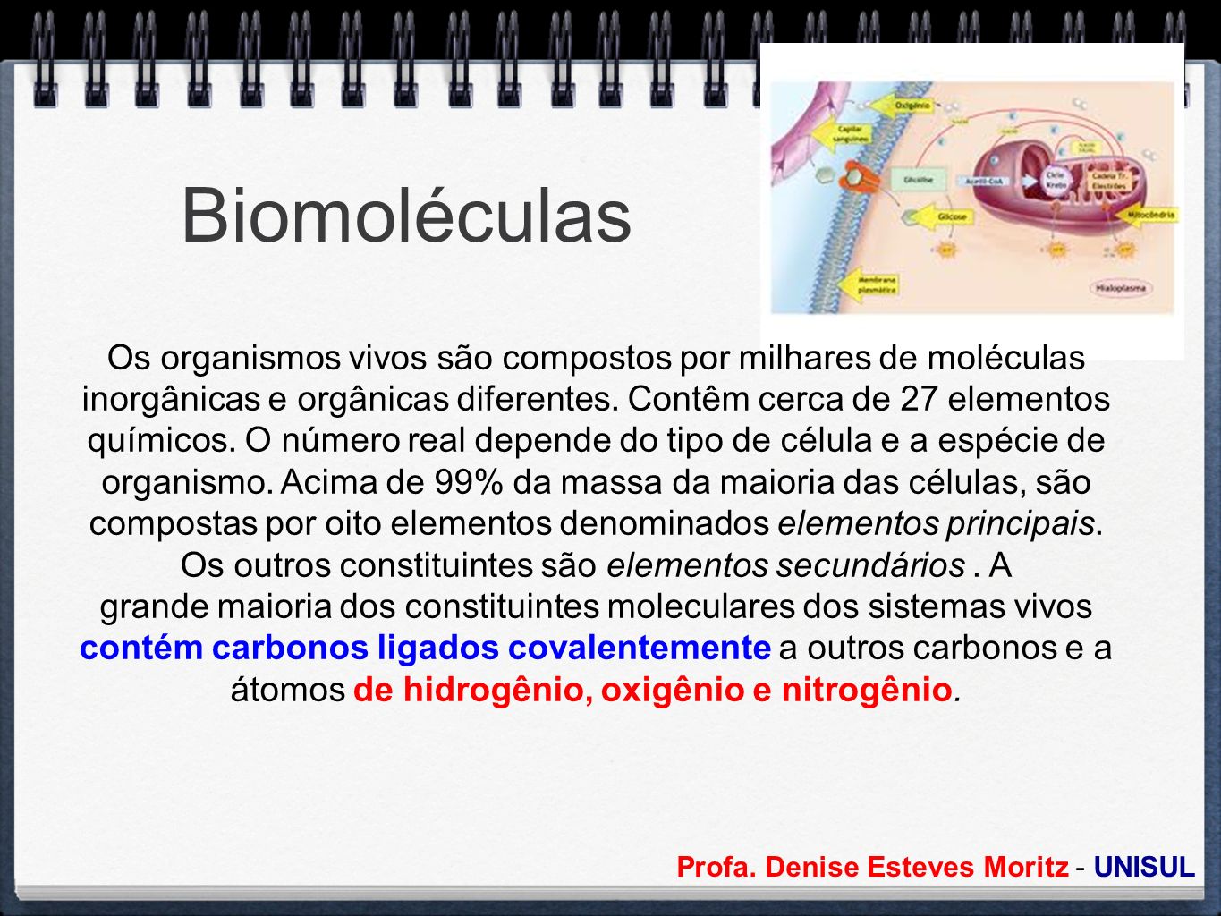 Biomoléculas Os organismos vivos são compostos por milhares de moléculas. inorgânicas e orgânicas diferentes. Contêm cerca de 27 elementos.