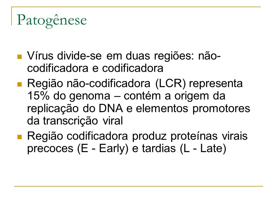 Patogênese Vírus divide-se em duas regiões: não-codificadora e codificadora.