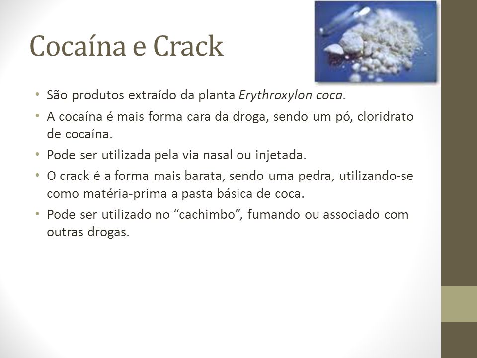 Cocaína e Crack São produtos extraído da planta Erythroxylon coca.