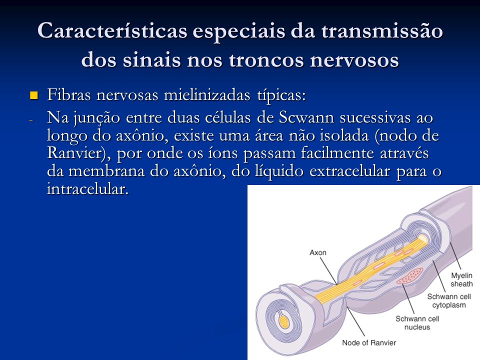 Características especiais da transmissão dos sinais nos troncos nervosos