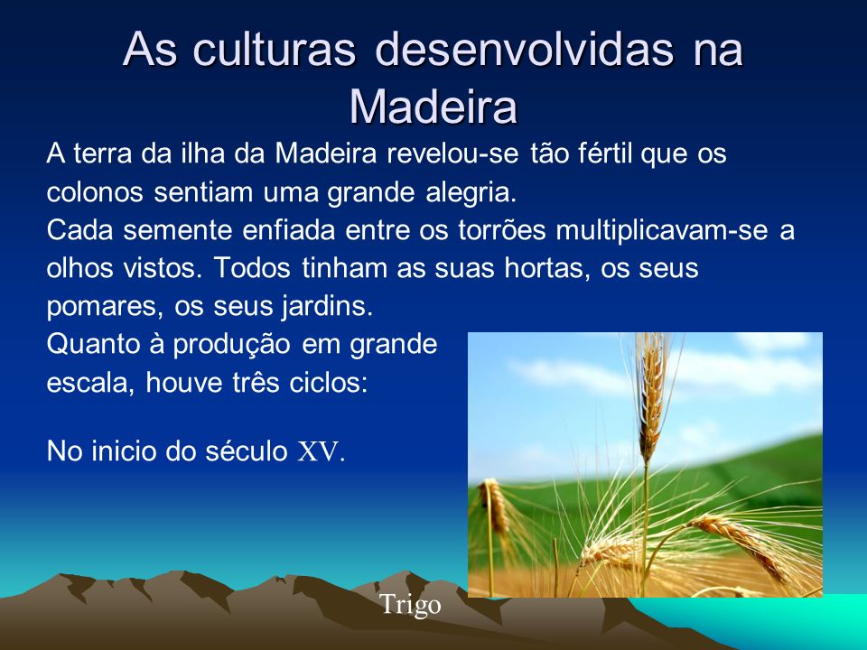 As culturas desenvolvidas na Madeira