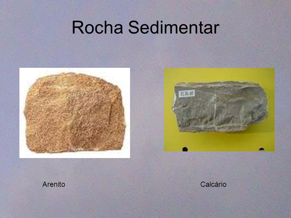 Rocha Sedimentar Arenito Calcário