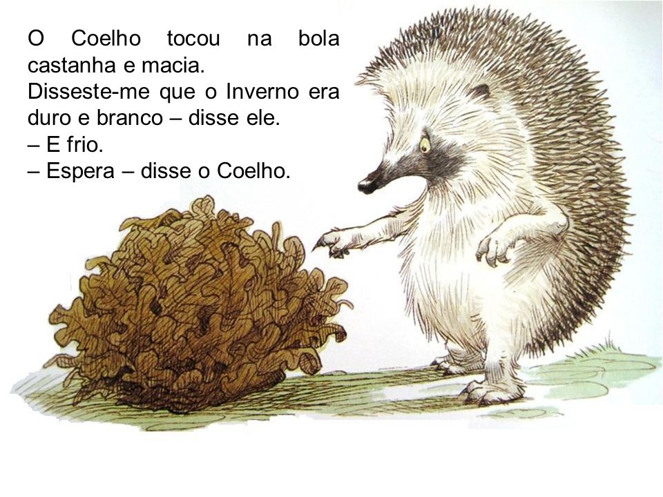 O Coelho tocou na bola castanha e macia.